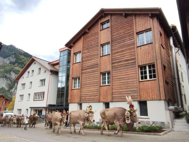 Hotel Elmer